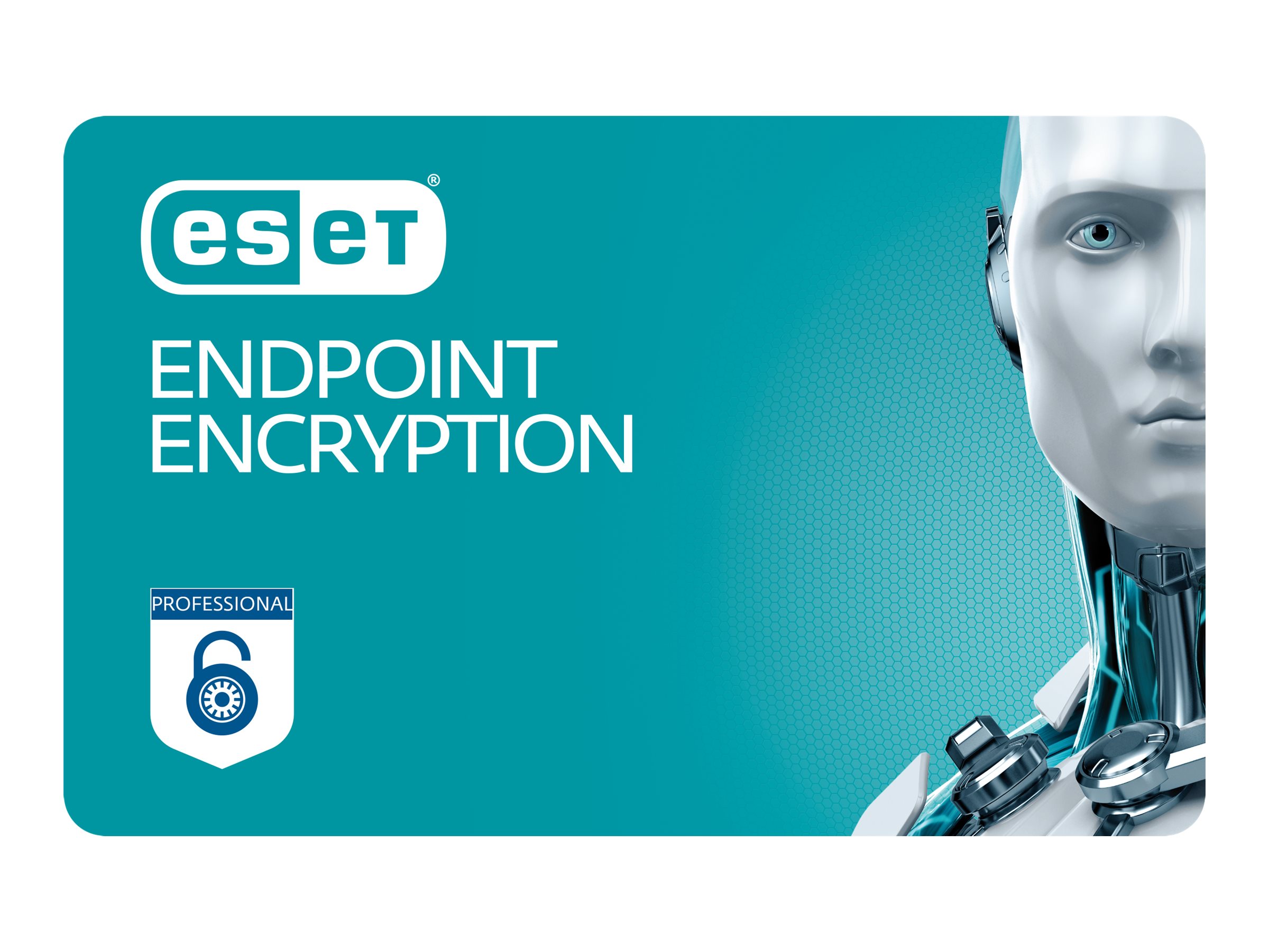 ESET Endpoint Encryption - Pro 26-49 User 1 Year New