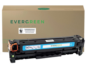 EVERGREEN Toner EGTE173E ersetzt EPSON C13S051173, schwarz