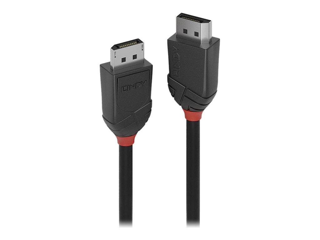 Image LINDY 3m DisplayPort 1.2 Kabel Black Line