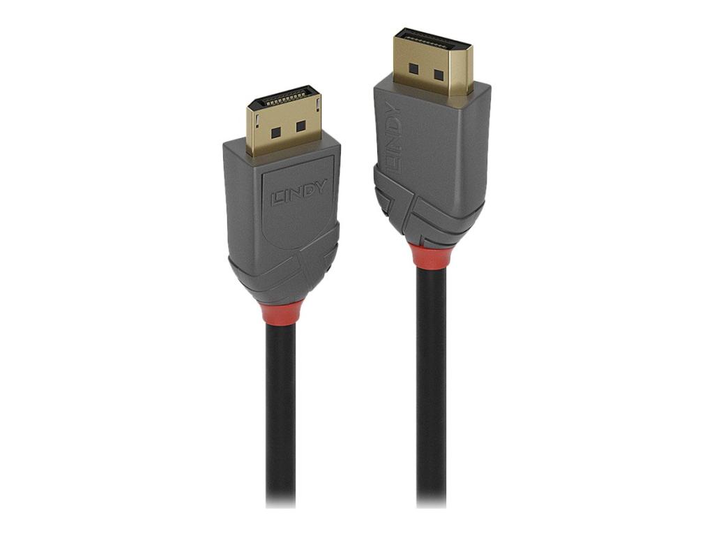 Image LINDY 2m DisplayPort 1.4 Kabel Anthra Line