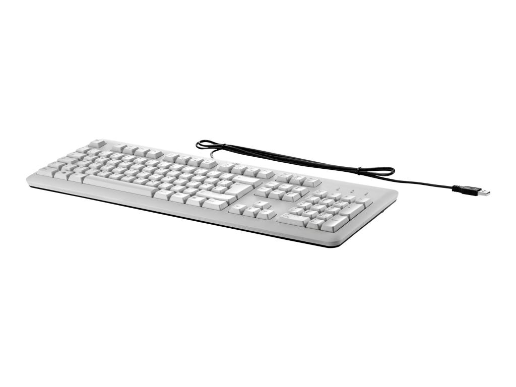 Image HP Tastatur Standard Basis / USB / Grau