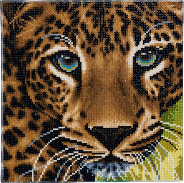 Image Crystal Art Leopard 30x30 cm, Nr: CAK-A66